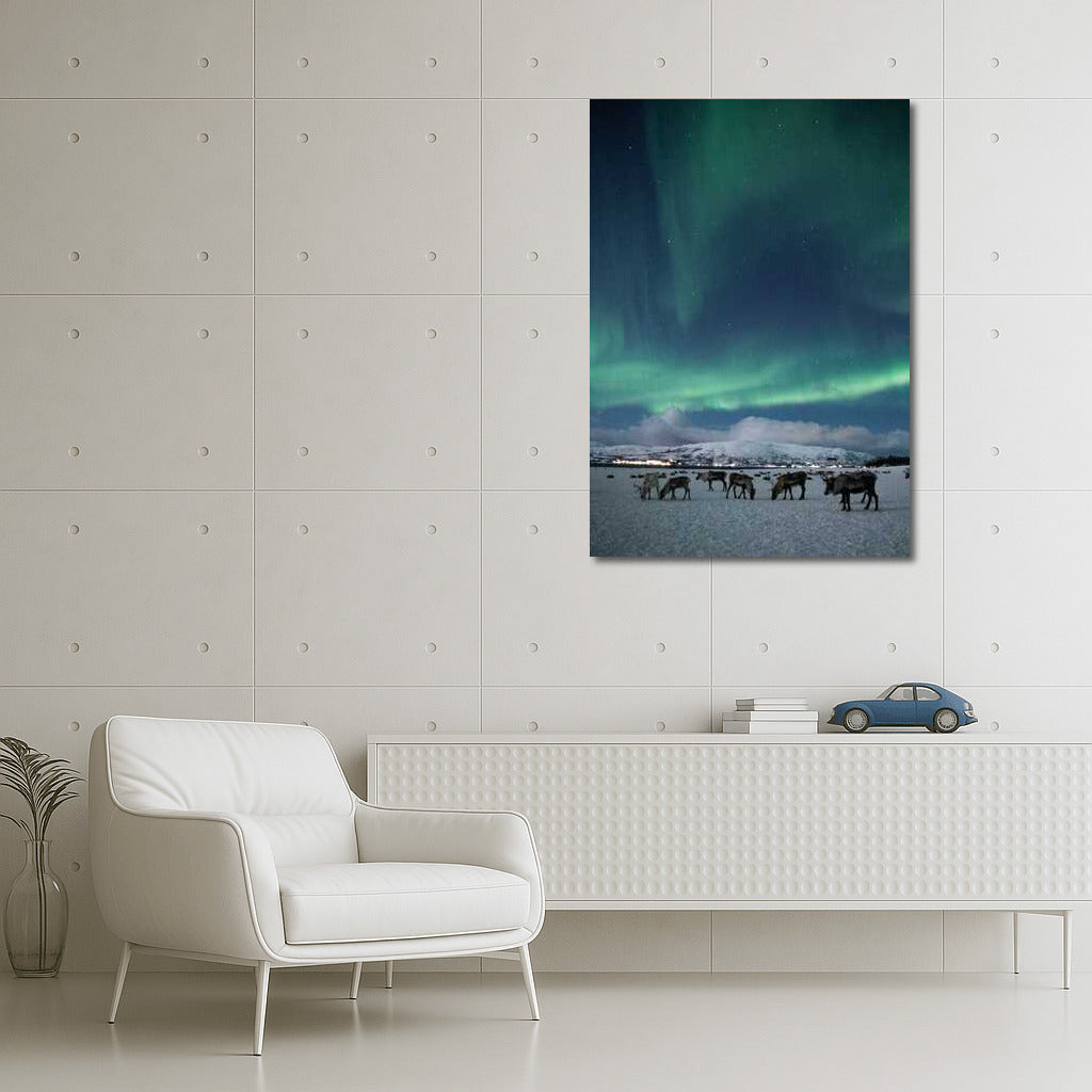Northern Lights over Finnish Pastoral: Enchantment of the Night