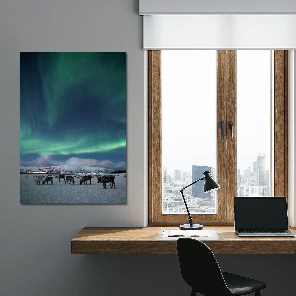 Northern Lights over Finnish Pastoral: Enchantment of the Night