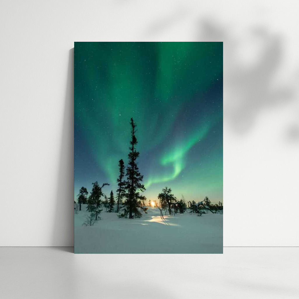 Northern Lights of Finland: Dance of Lights over Snowy Expanses
