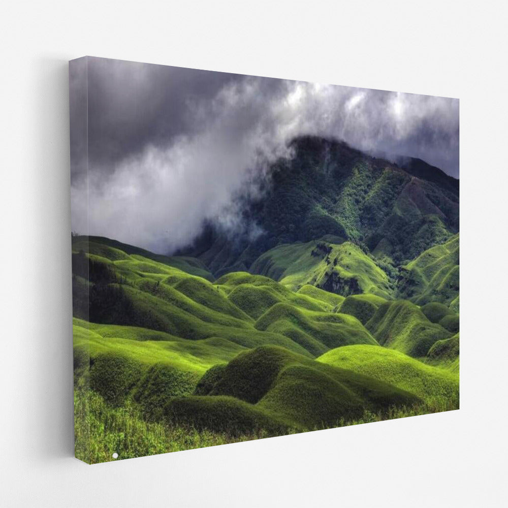Misty Hills of India: Nature's Green Heart