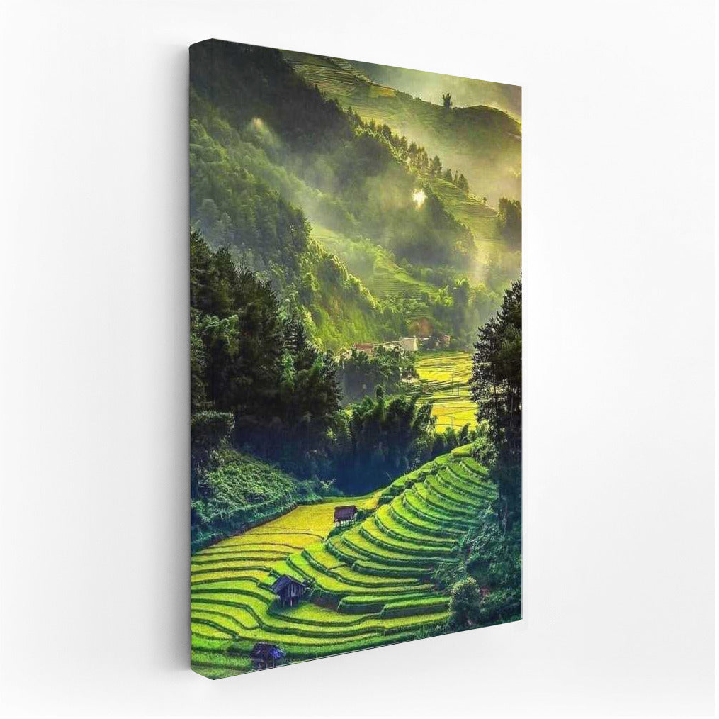 Indonesian Terraces: Morning Light and Natural Tranquility