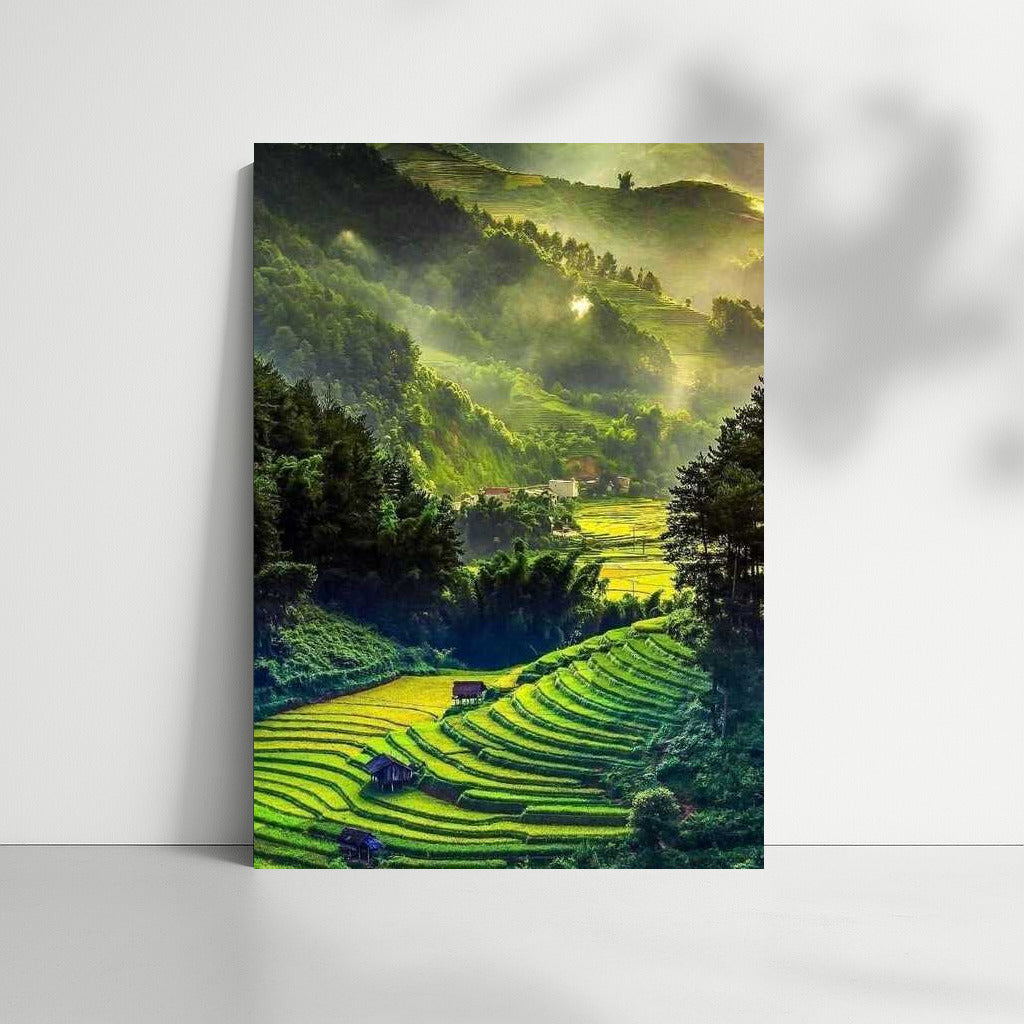 Indonesian Terraces: Morning Light and Natural Tranquility