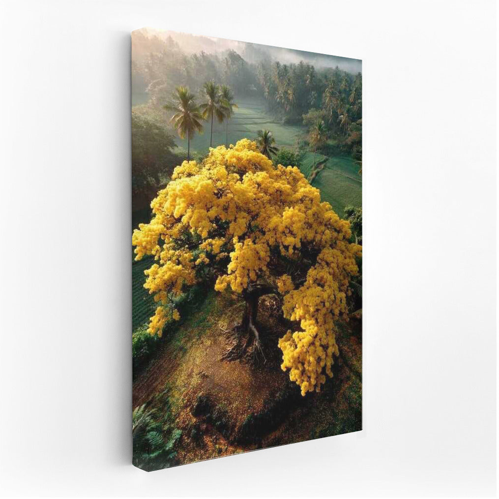 Indonesia's Golden Tree: Natural Charm