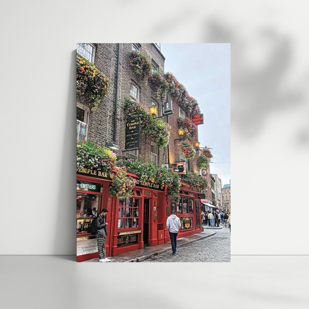 Irish Flower Street: Warmth and Hospitality Country, Ireland
