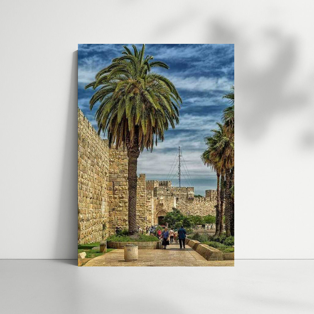 The Warmth of Israeli Stones and the Majesty of Palms
