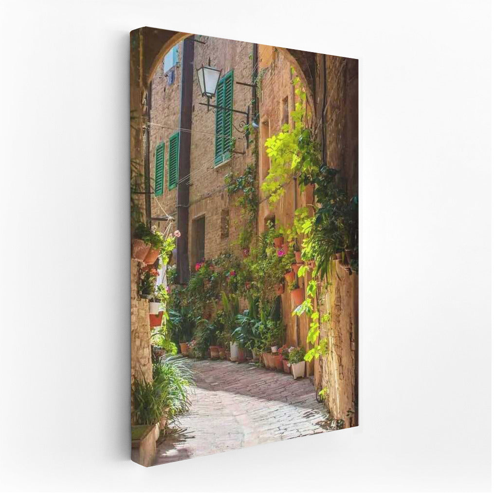 The Charm of Italy's Stone Streets: Flowers and Sun