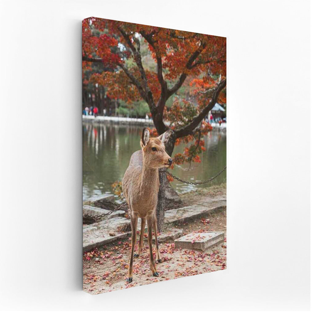 Autumn Deer in Japan's Flame Forest