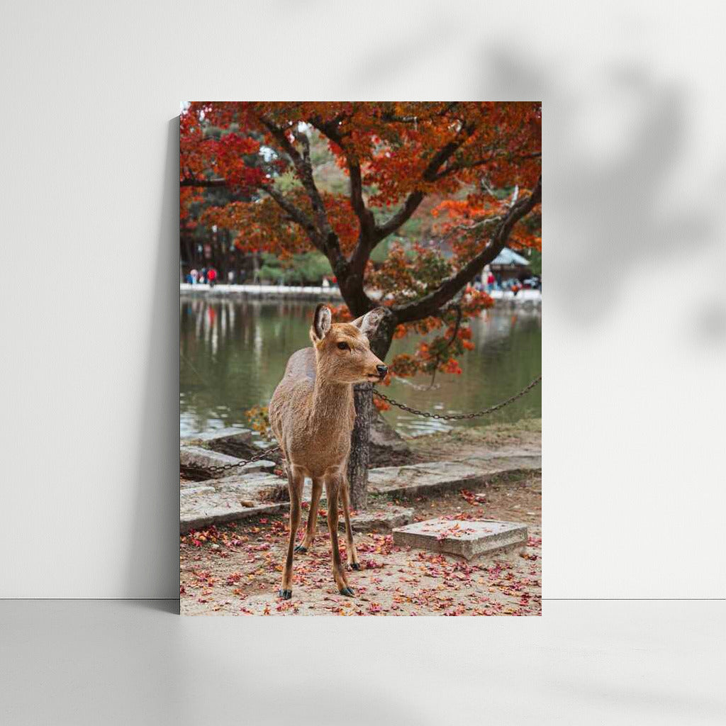 Autumn Deer in Japan's Flame Forest