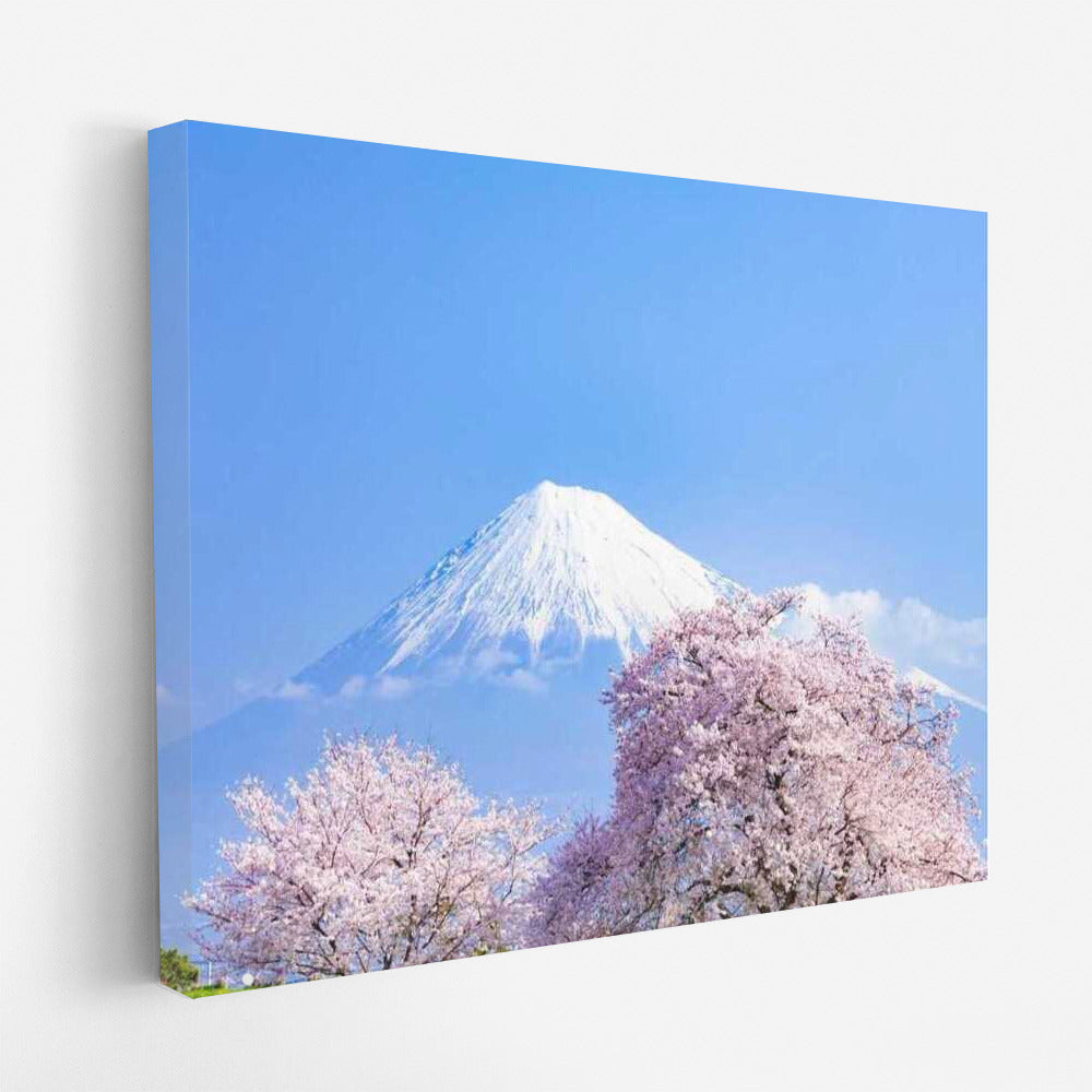Blooming Sakura and the Majesty of Fuji: Country, Japan