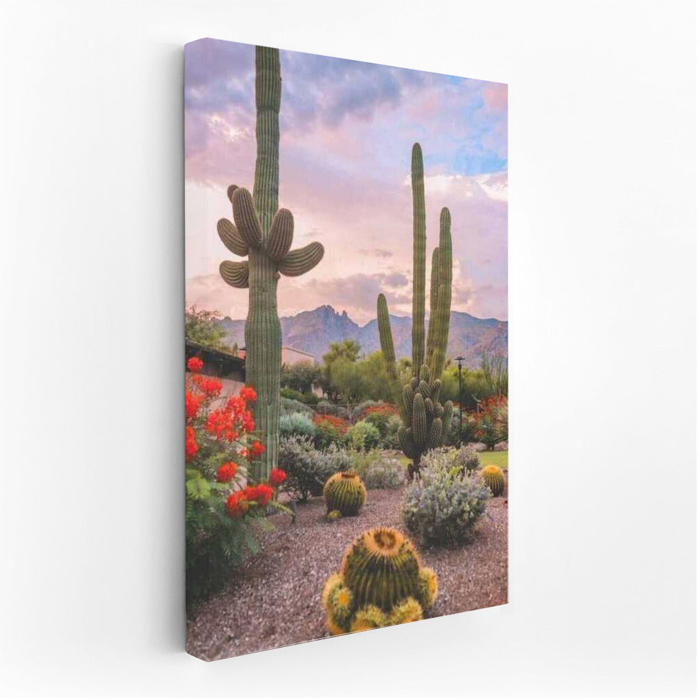 Mexican Village: Sunset over Cacti and Mountains