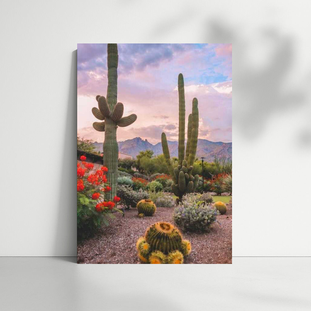 Mexican Village: Sunset over Cacti and Mountains