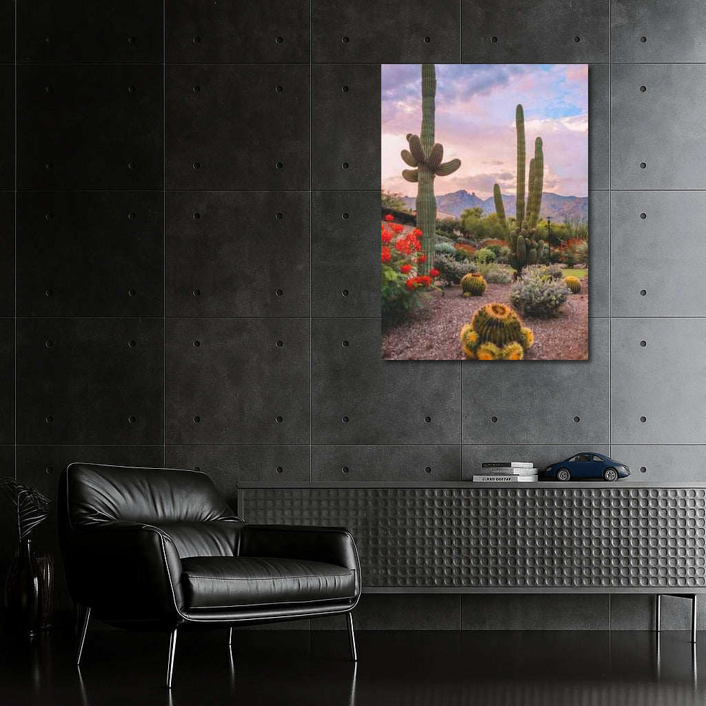 Mexican Village: Sunset over Cacti and Mountains