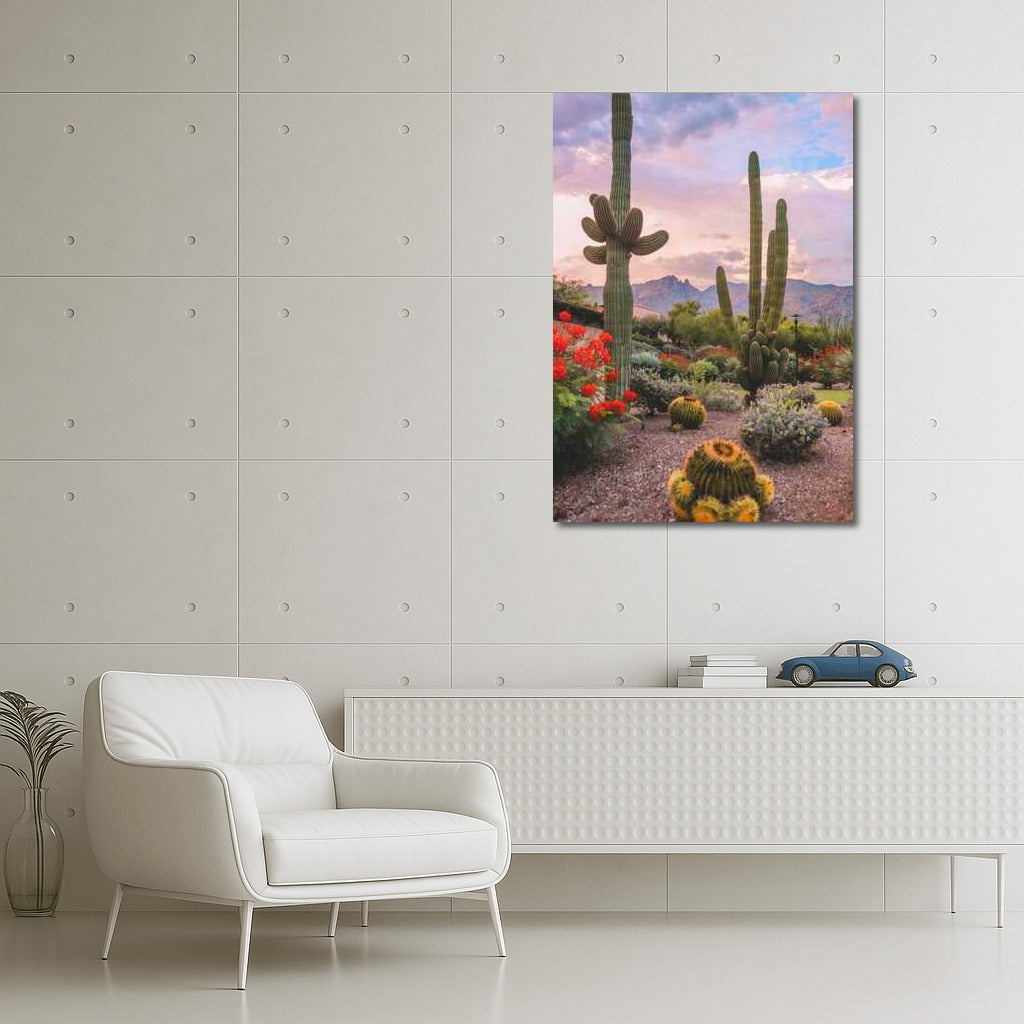 Mexican Village: Sunset over Cacti and Mountains