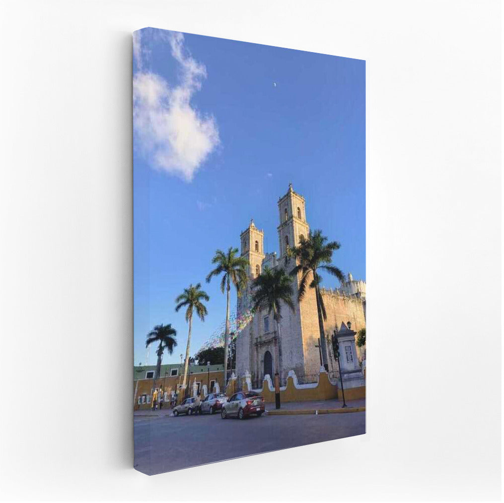 Mexican Harmony: Architecture and Palms