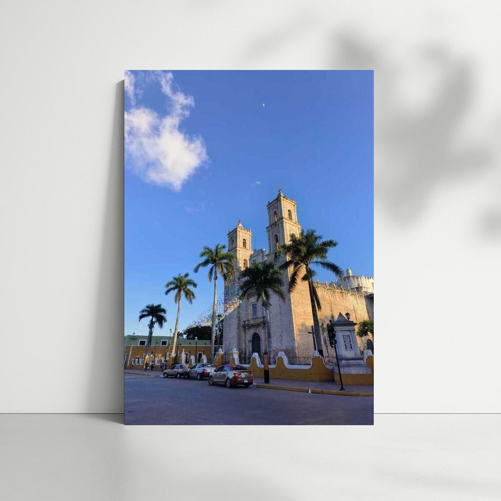 Mexican Harmony: Architecture and Palms