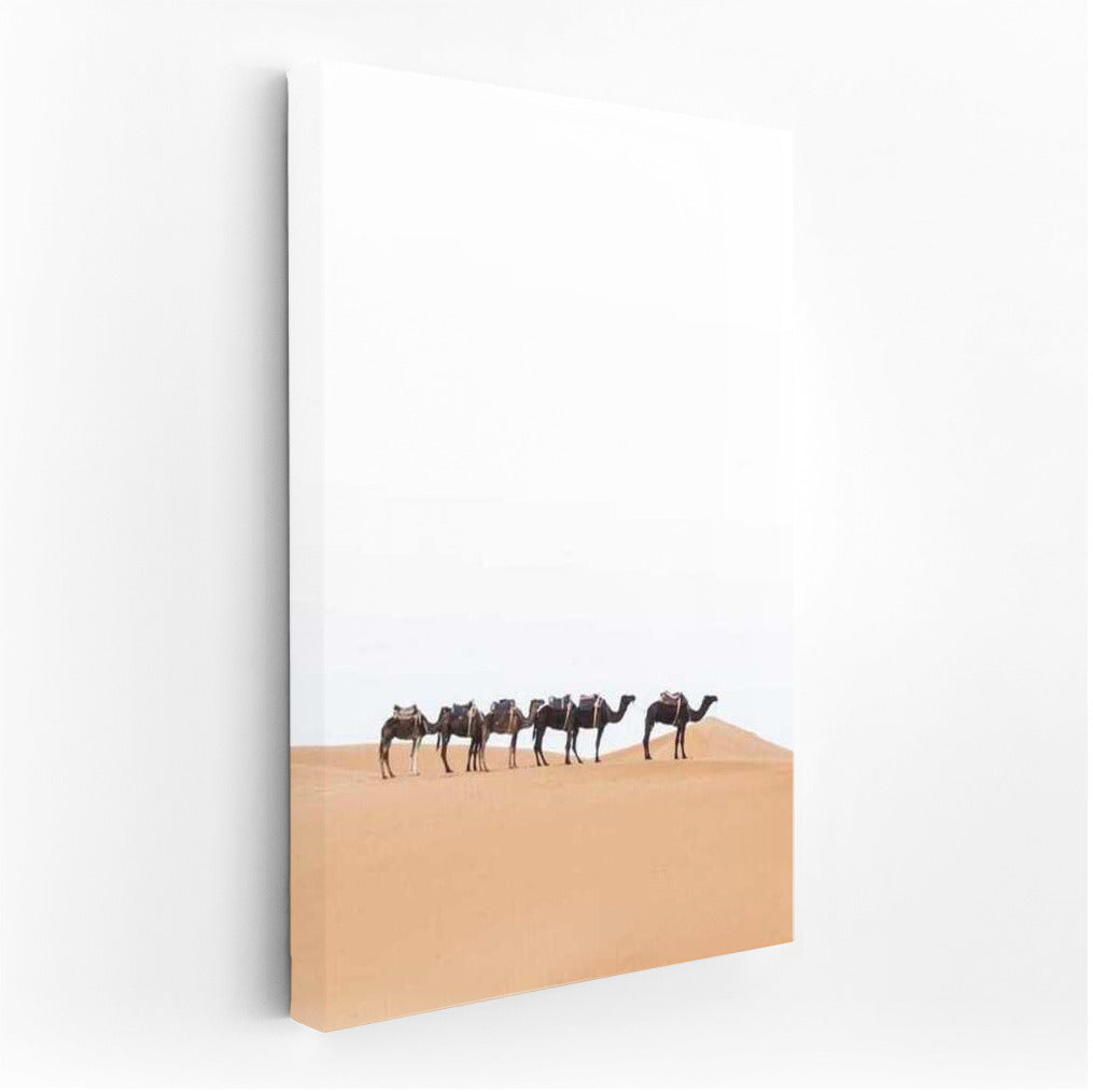Camels in the Sands of Morocco: A Journey Through the Country