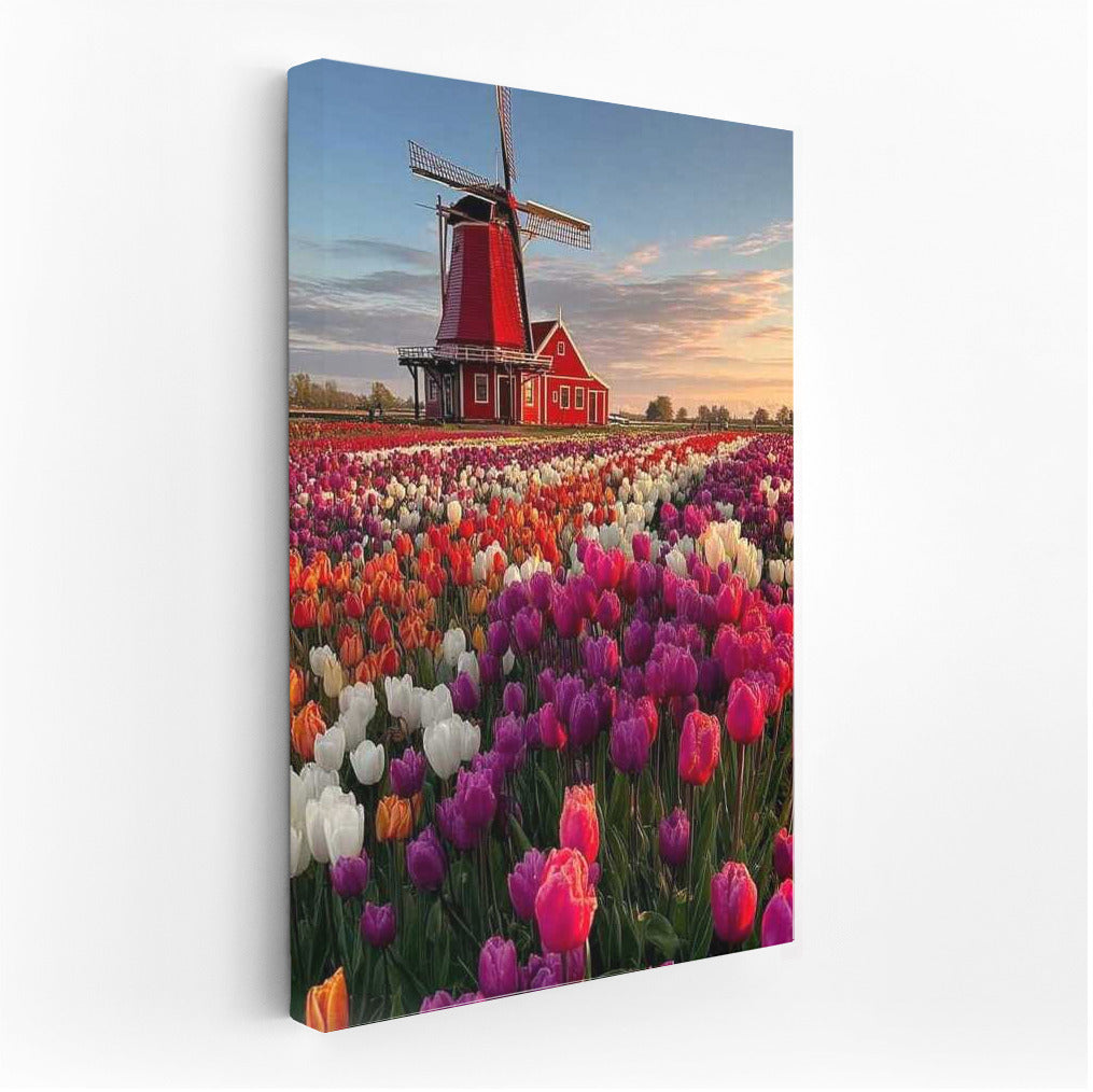 Tulip Field and Windmill: The Charm of the Netherlands