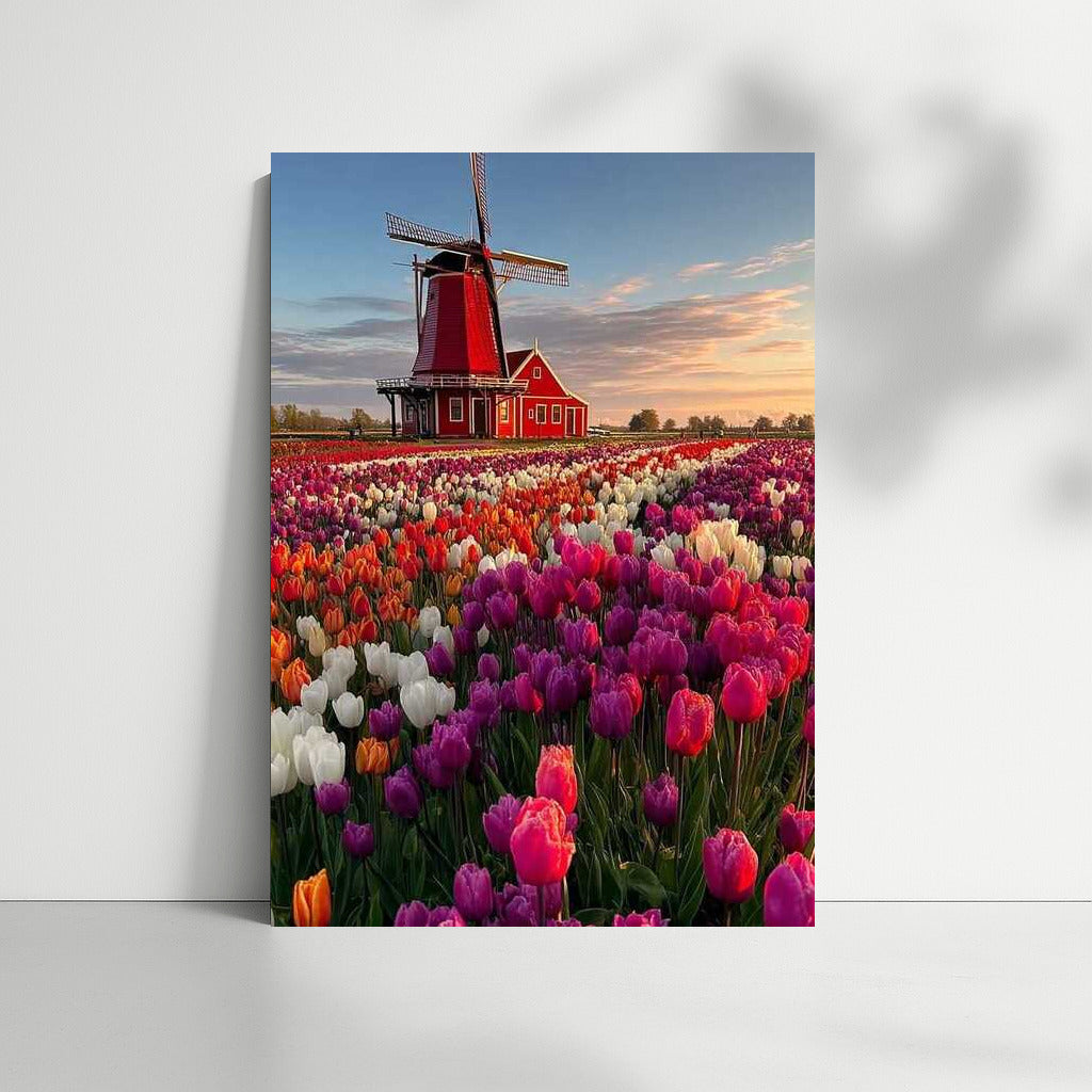 Tulip Field and Windmill: The Charm of the Netherlands