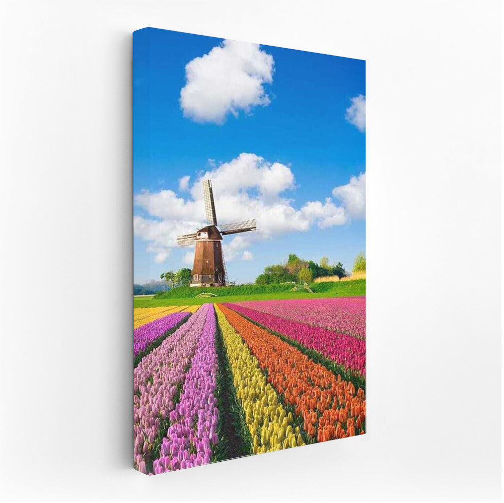 Tulips and a Windmill: The Charm of the Netherlands