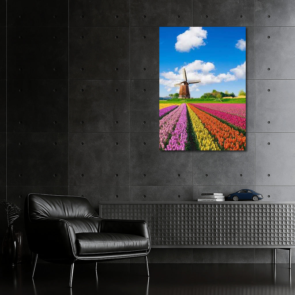 Tulips and a Windmill: The Charm of the Netherlands