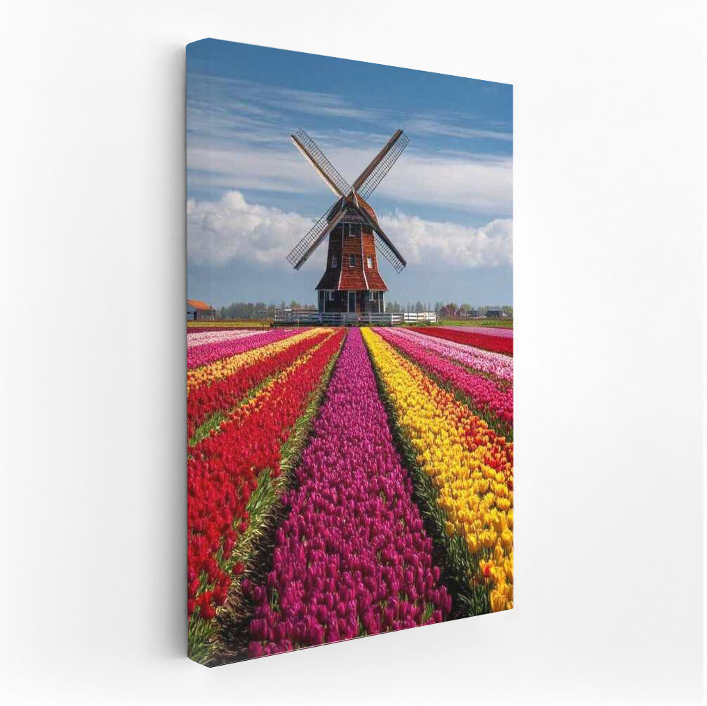 Dutch Fairy Tale: Tulips and the Windmill