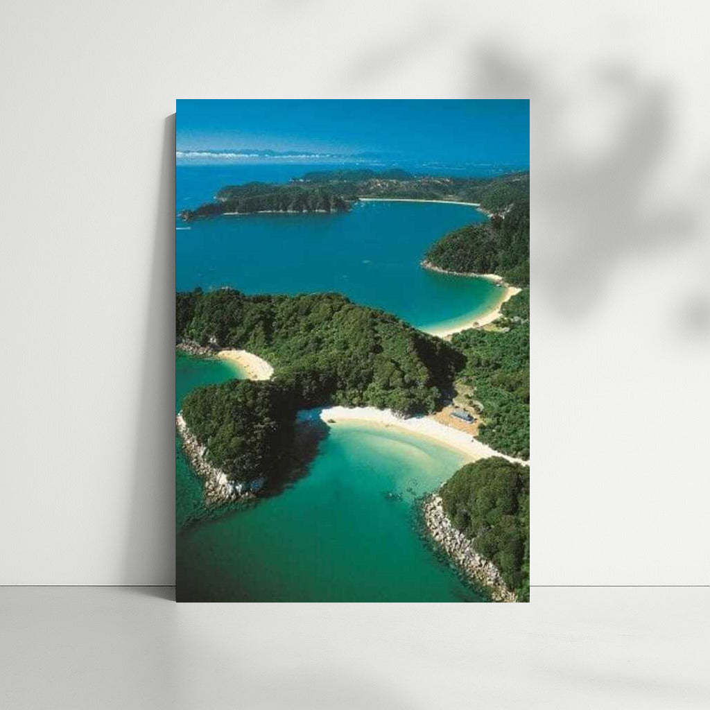 Picturesque Bays of New Zealand: Inspiration for Travelers