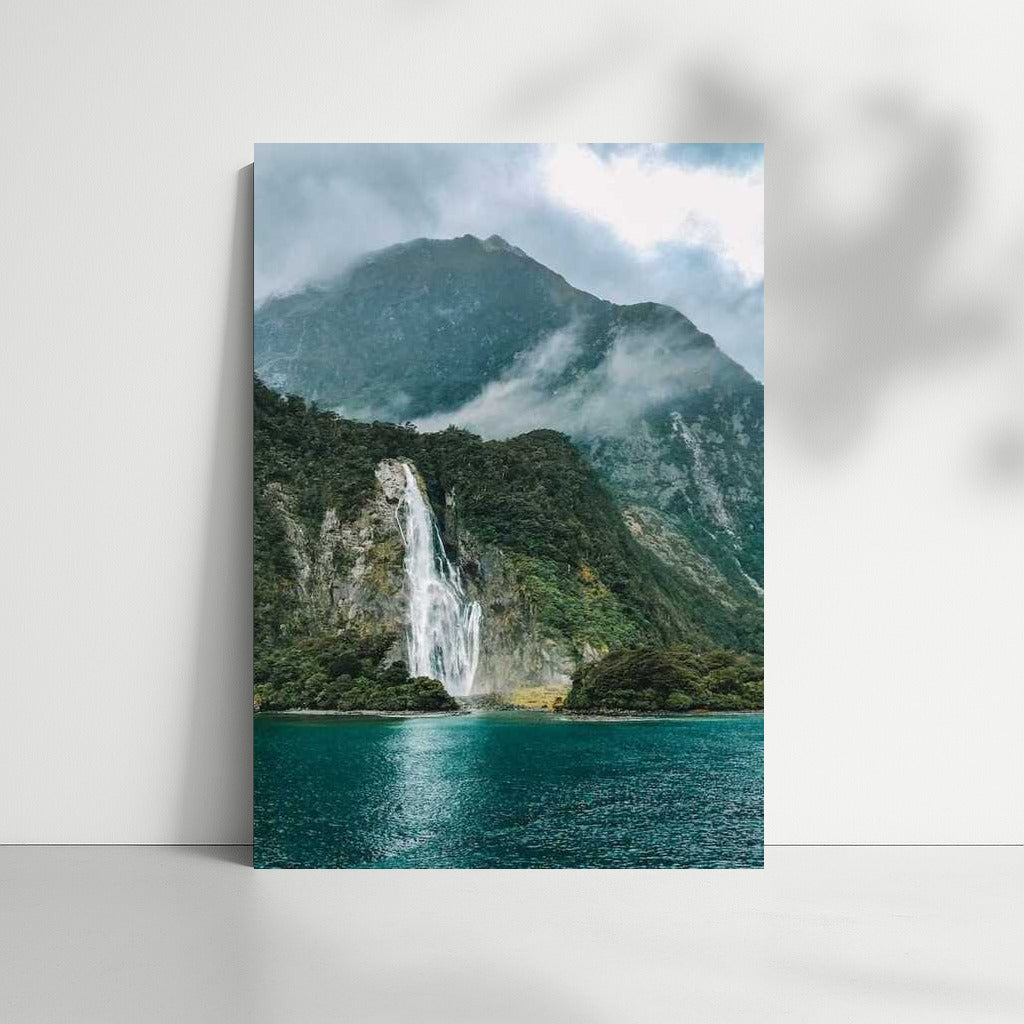 New Zealand Waterfall: Mountain Wildlife
