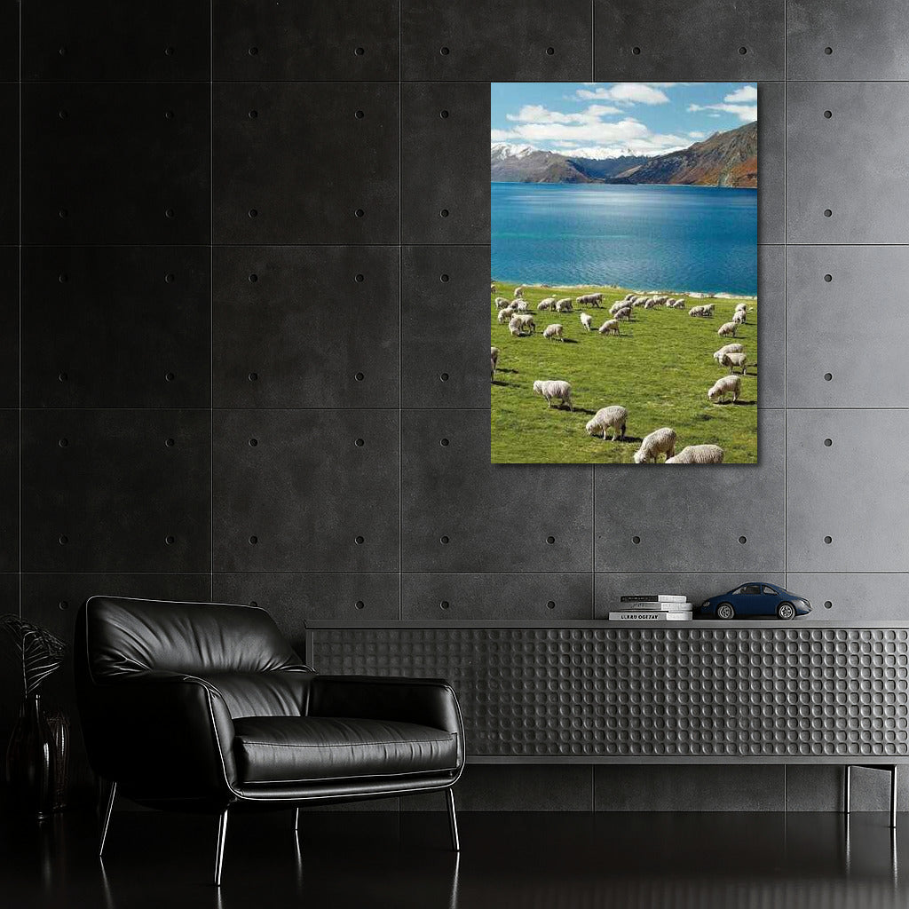Sheep's Paradise: New Zealand's Mountain Pastoral