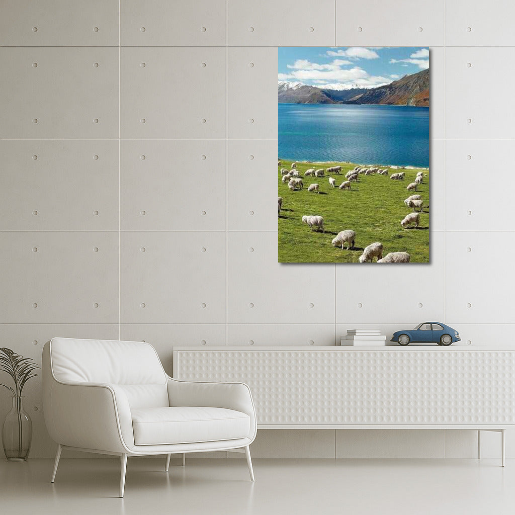 Sheep's Paradise: New Zealand's Mountain Pastoral