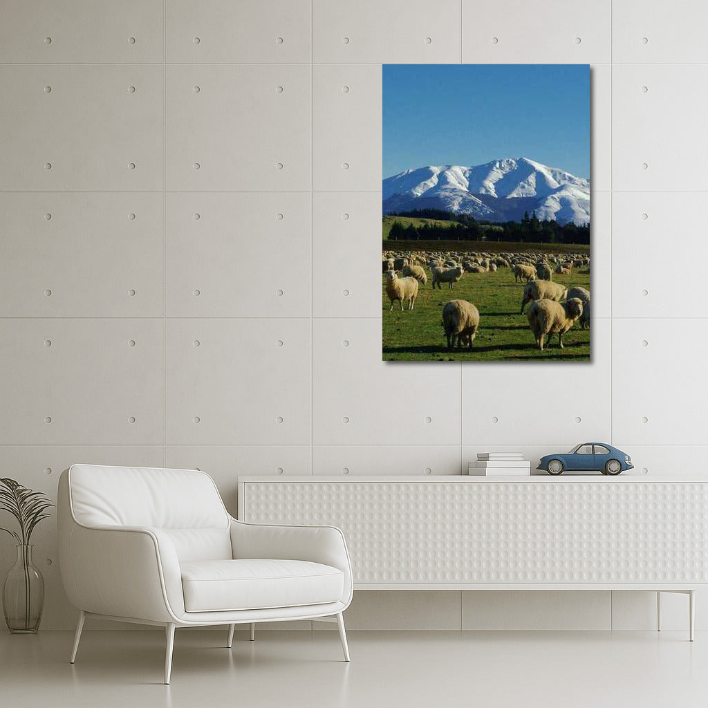 Tranquil Sheep in the Snowy Mountains of New Zealand