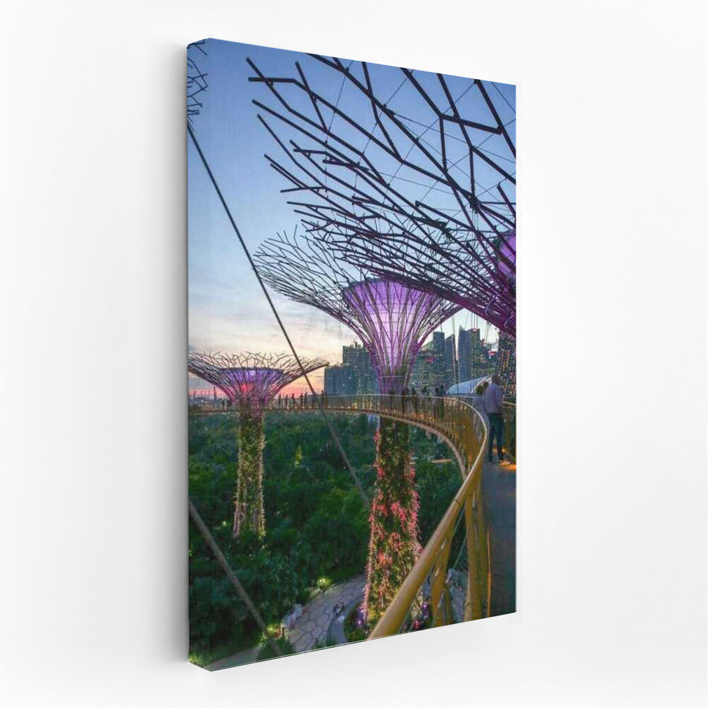Singapore's Supertrees: Futuristic Night