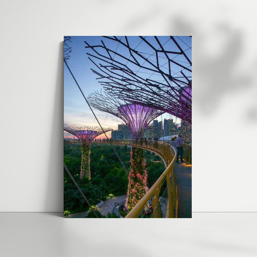 Singapore's Supertrees: Futuristic Night