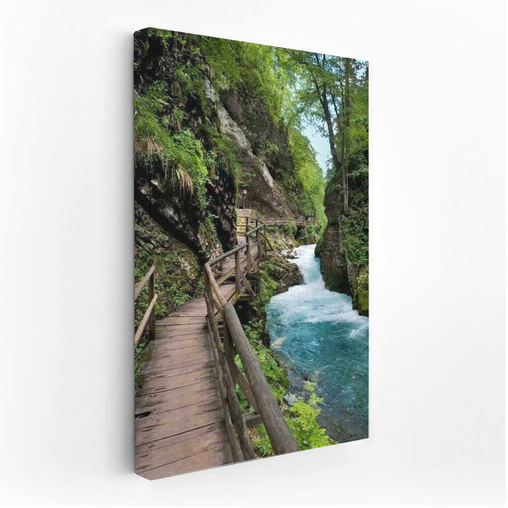 Slovenia's Winding Trail: Natural Charm of Green Landscapes