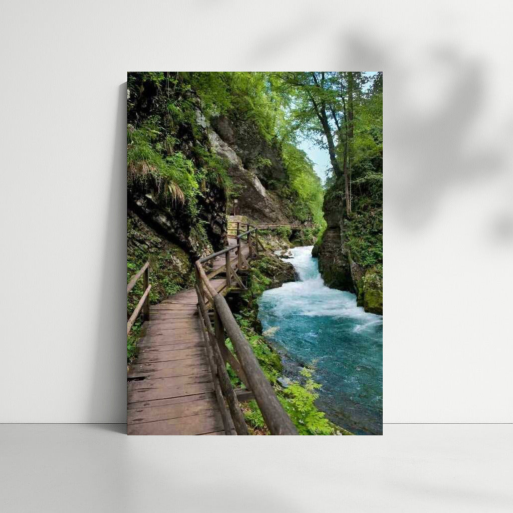 Slovenia's Winding Trail: Natural Charm of Green Landscapes