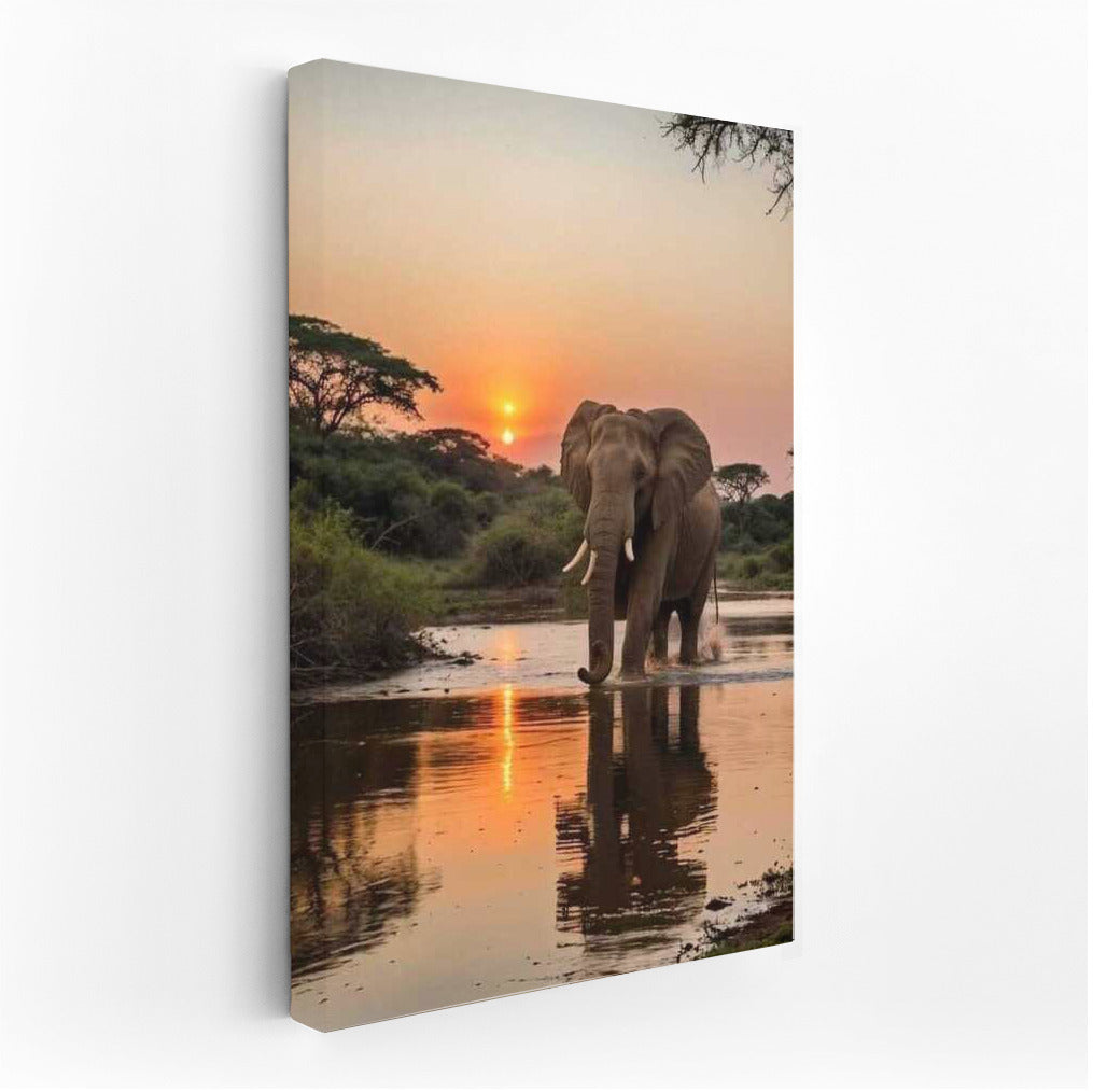Majestic Elephant in the South African Sunset