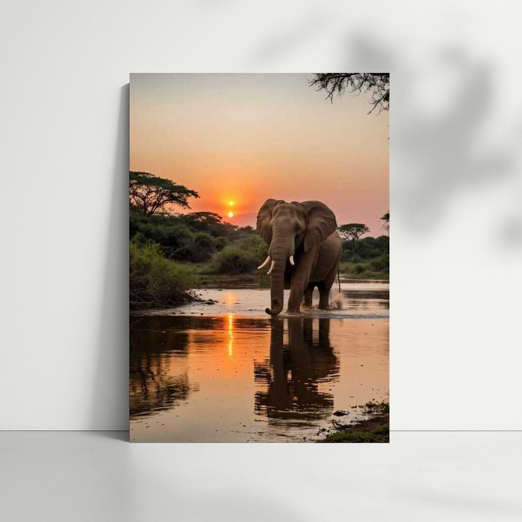 Majestic Elephant in the South African Sunset
