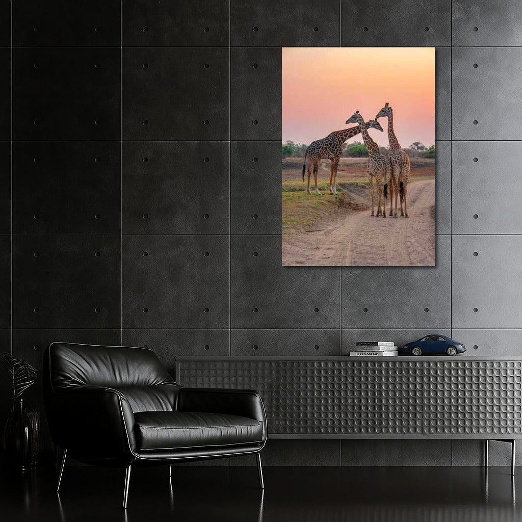 Sunset in the South African Savannah: The Majesty of Giraffes