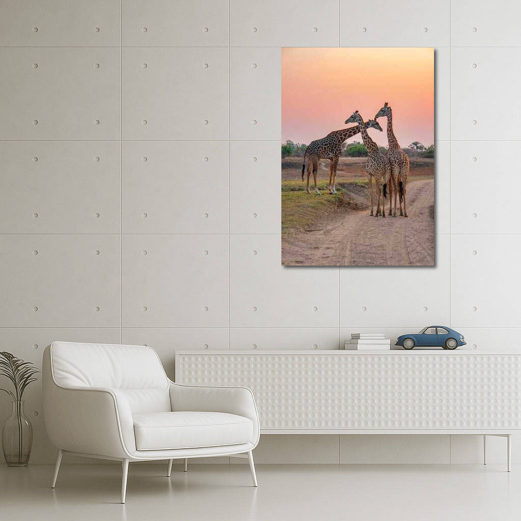 Sunset in the South African Savannah: The Majesty of Giraffes