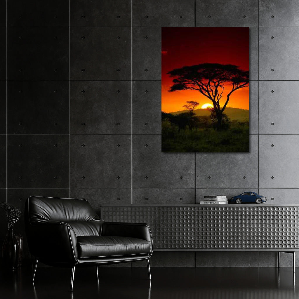 Acacia at Sunset: South Africa in Warm Tones