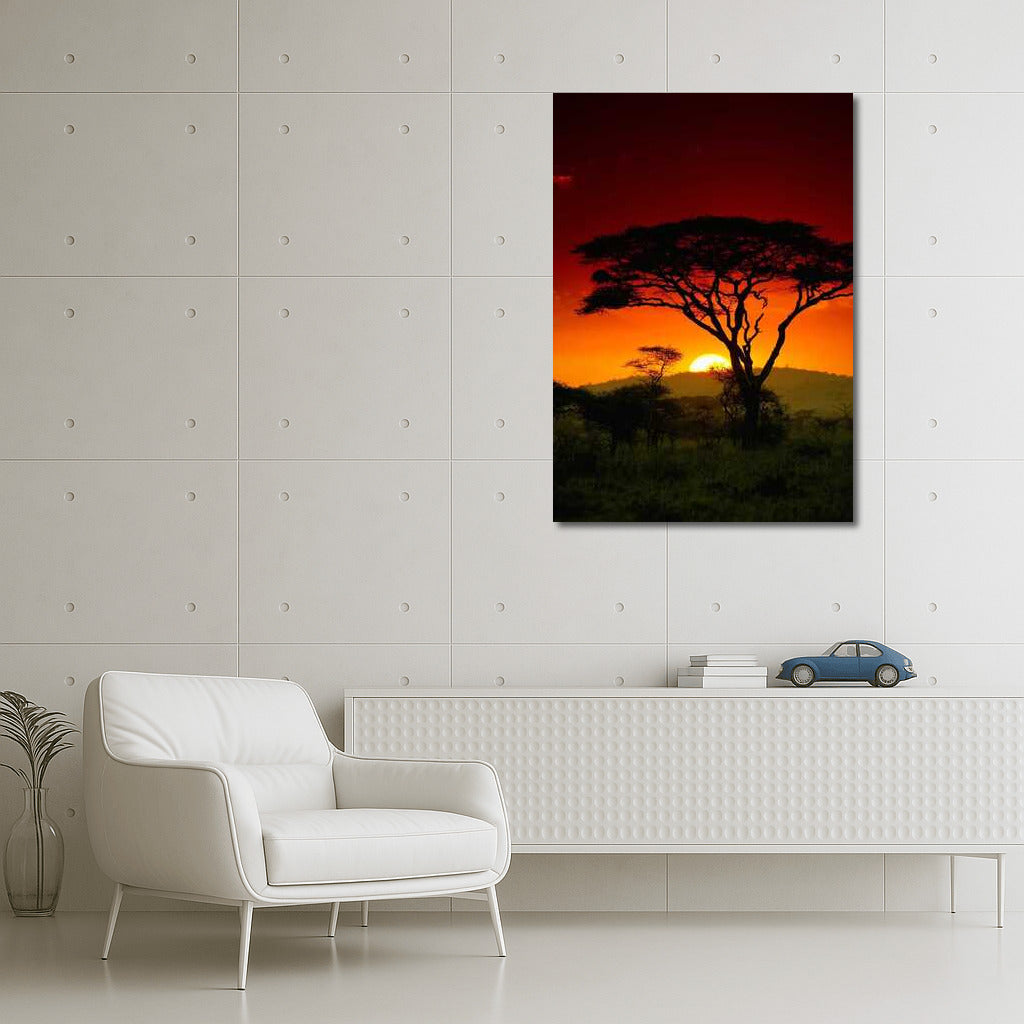Acacia at Sunset: South Africa in Warm Tones