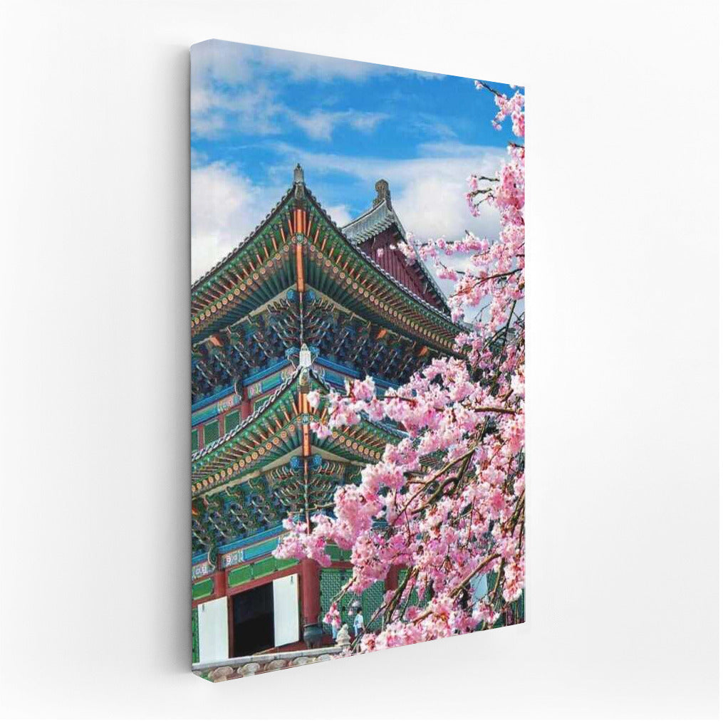Cherry Blossoms and Architecture of South Korea