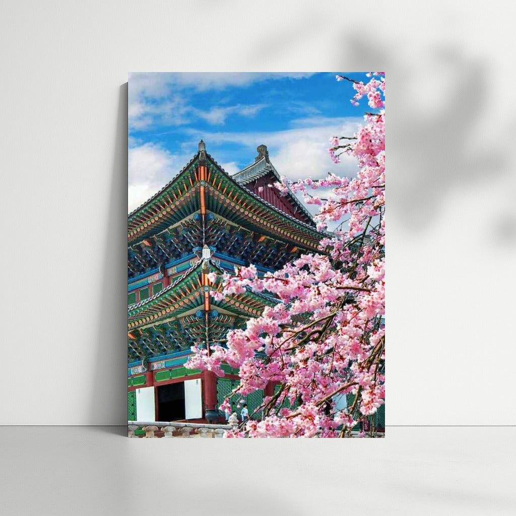 Cherry Blossoms and Architecture of South Korea