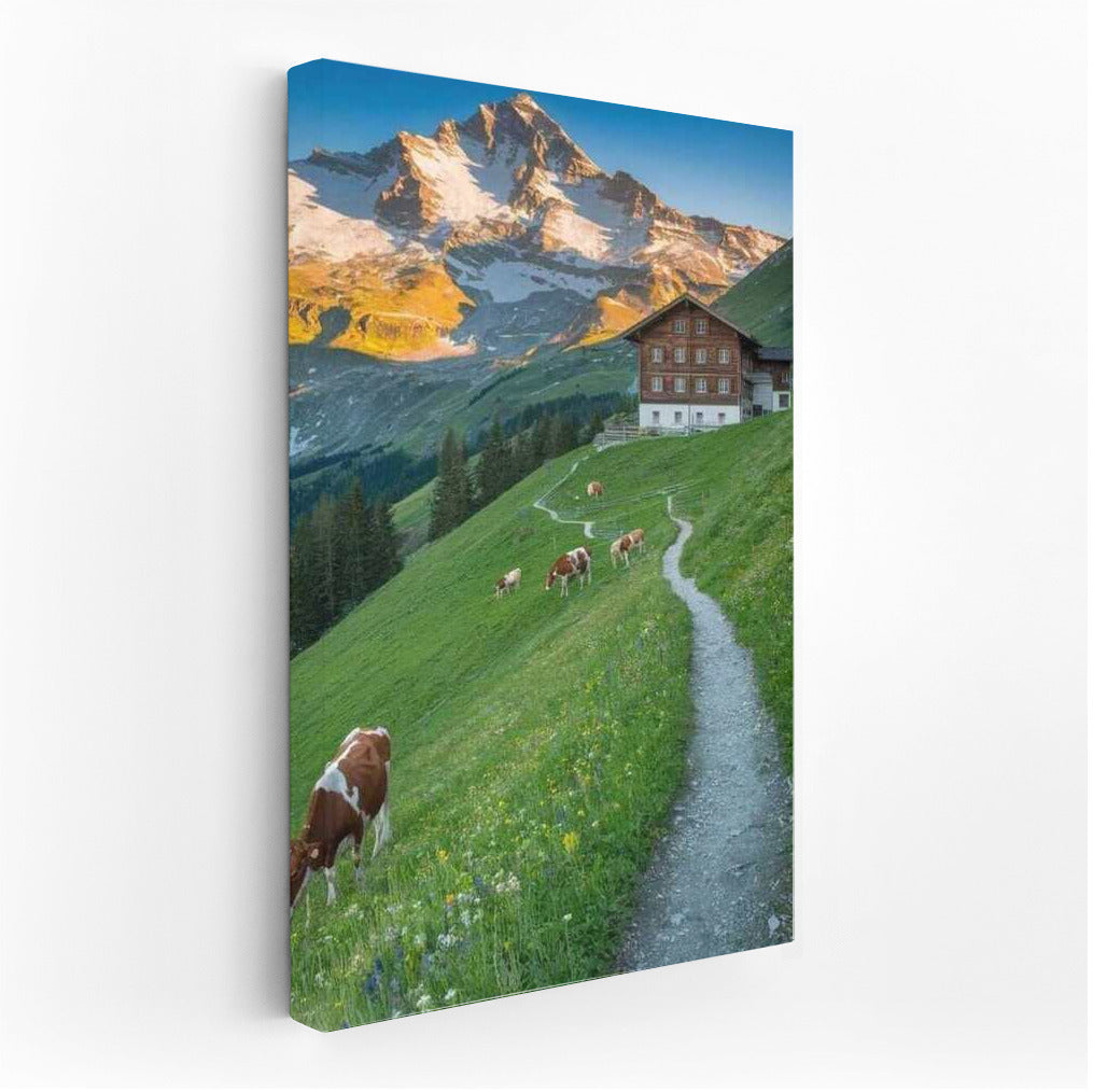 Swedish Idyll: Green Meadows and a Cozy Home