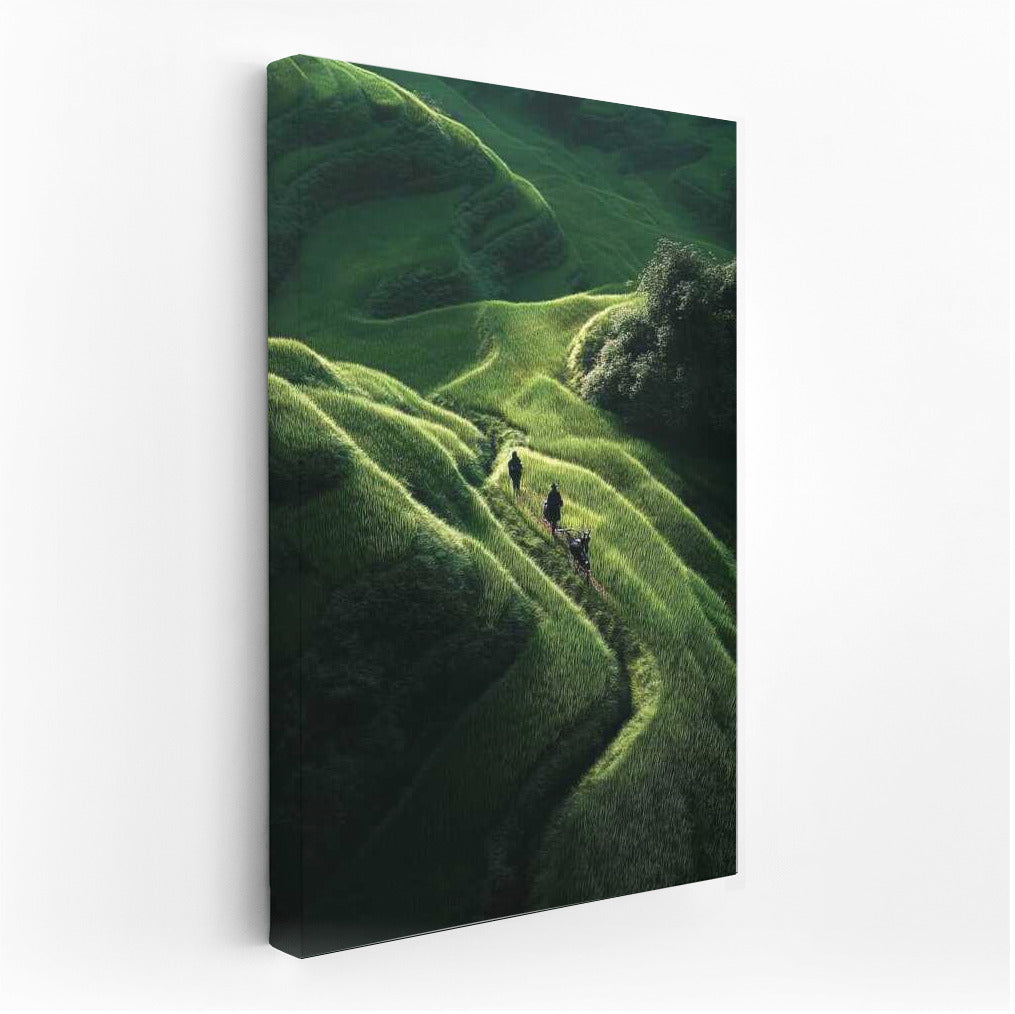 Green Landscapes of Vietnamese Fields: The Subtlety of Nature