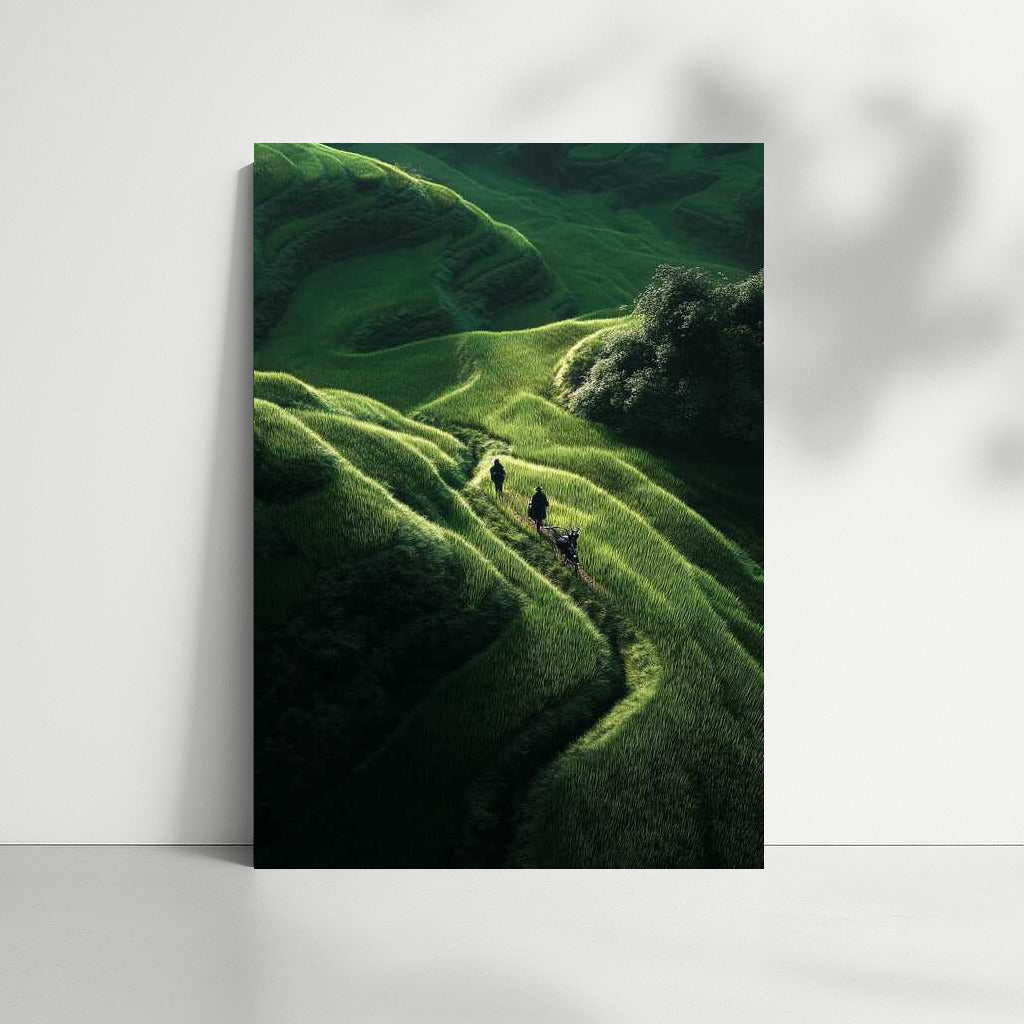 Green Landscapes of Vietnamese Fields: The Subtlety of Nature