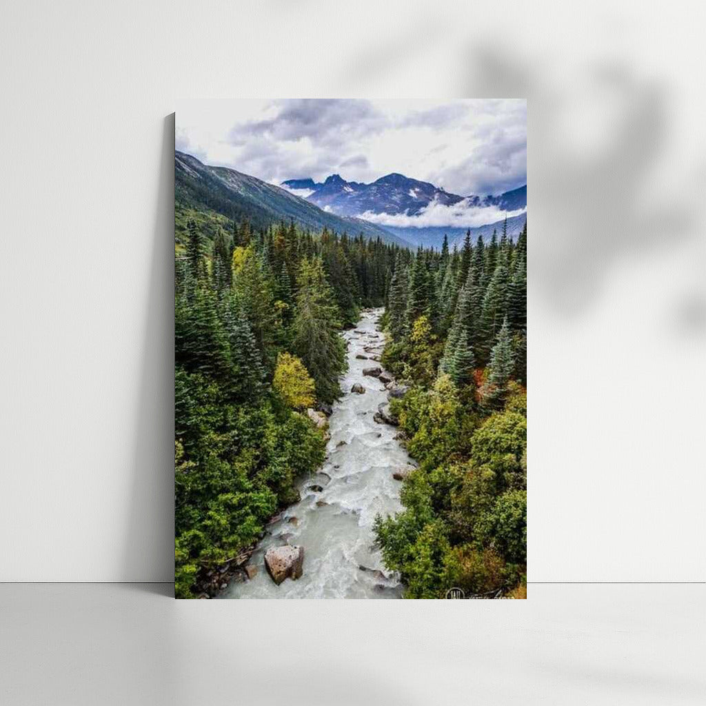 Alaska's Wild River: US Wildlife
