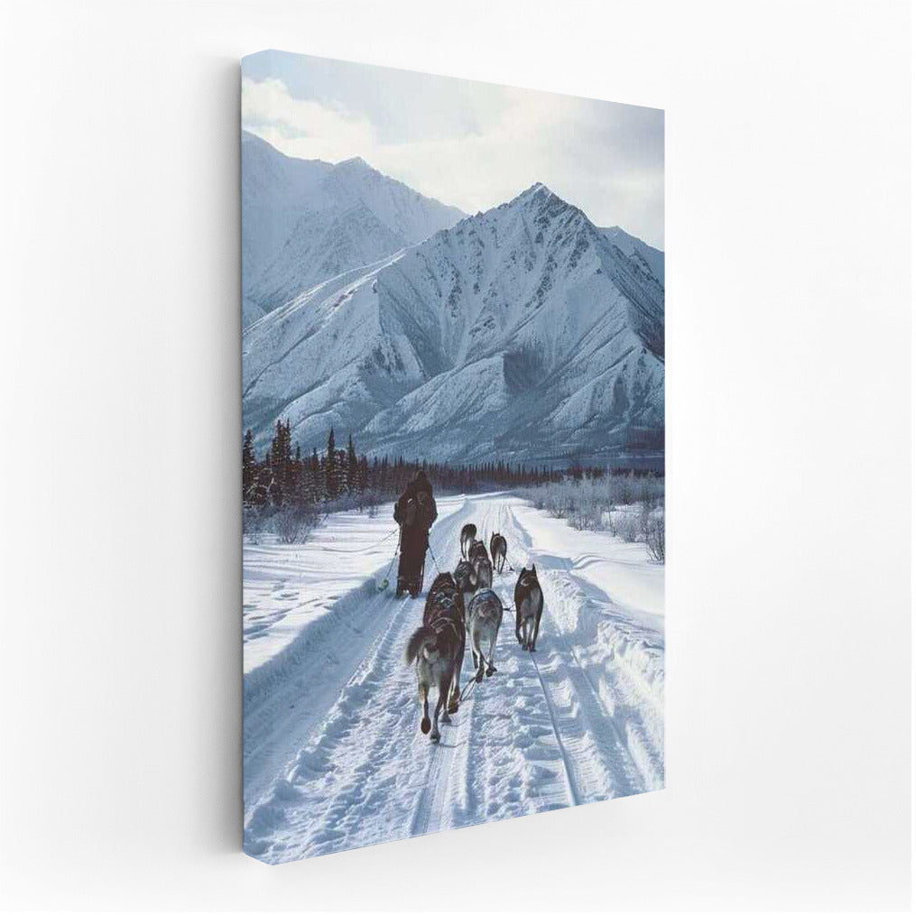 Dog Sledding in the Alaskan Snow: The Greatness of the US Nature