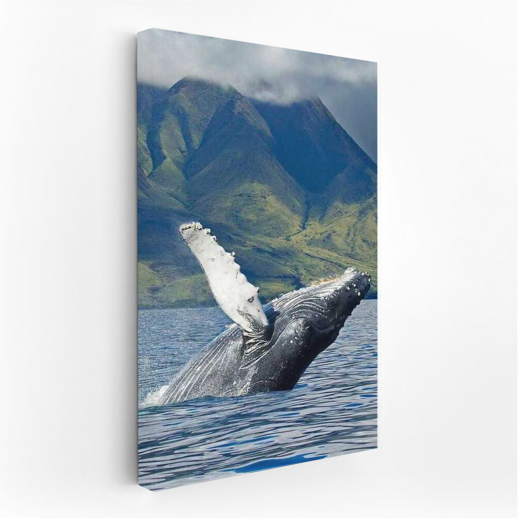 The Majesty of the Whale: Wildlife in Alaska, USA