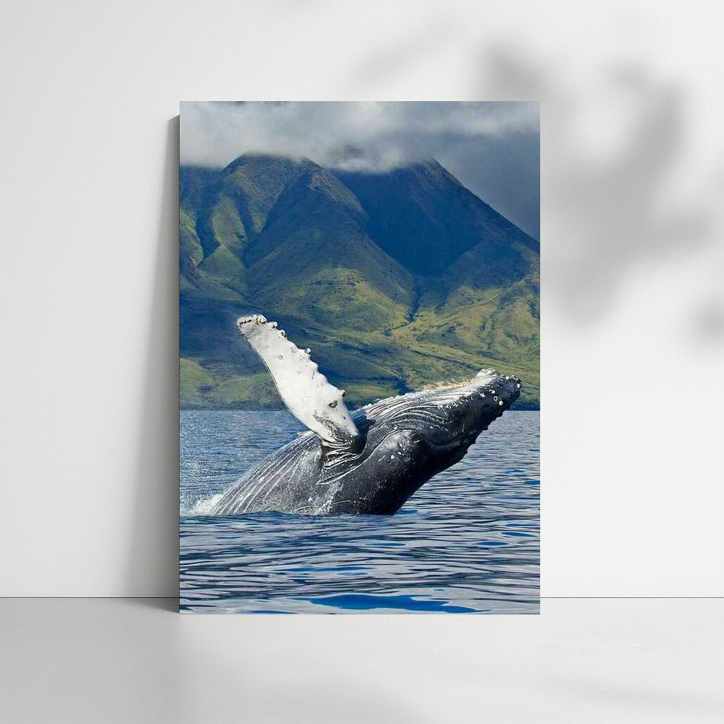 The Majesty of the Whale: Wildlife in Alaska, USA