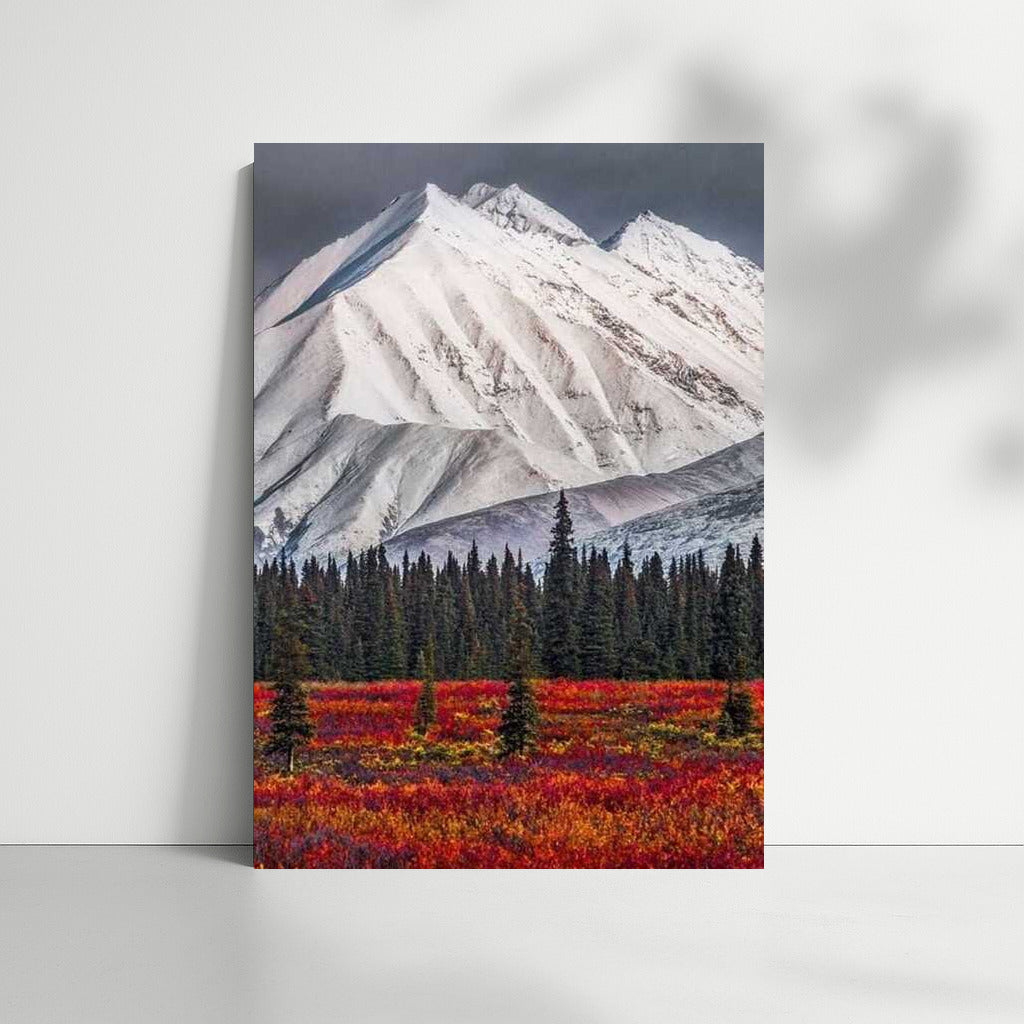 The Grandeur of Alaska's Snowy Peaks: The Scarlet Forest and the Spirit of the American Wilderness